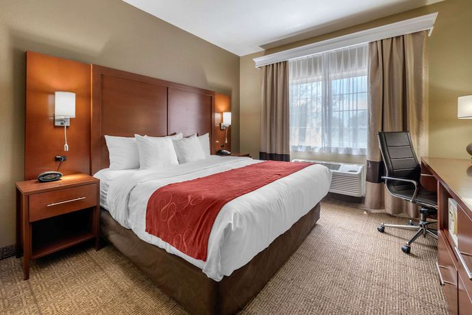 Imagen de la habitación del Hotel Comfort Suites Fort Collins Near University. Foto 6