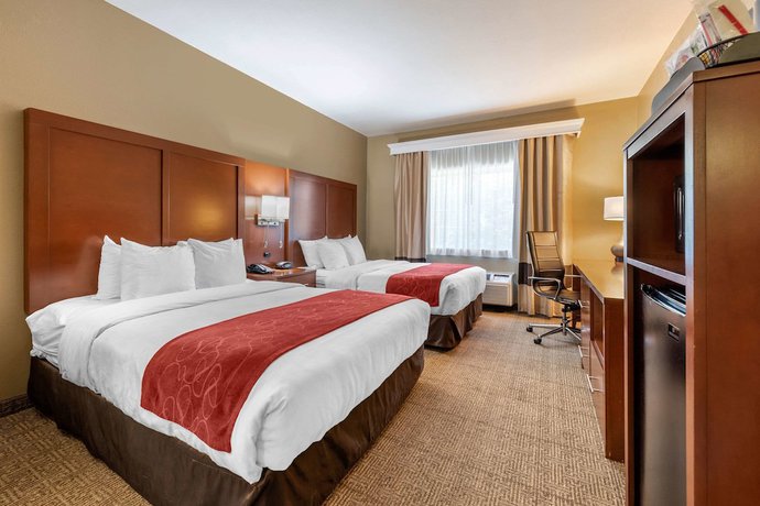 Imagen de la habitación del Hotel Comfort Suites Fort Collins Near University. Foto 14