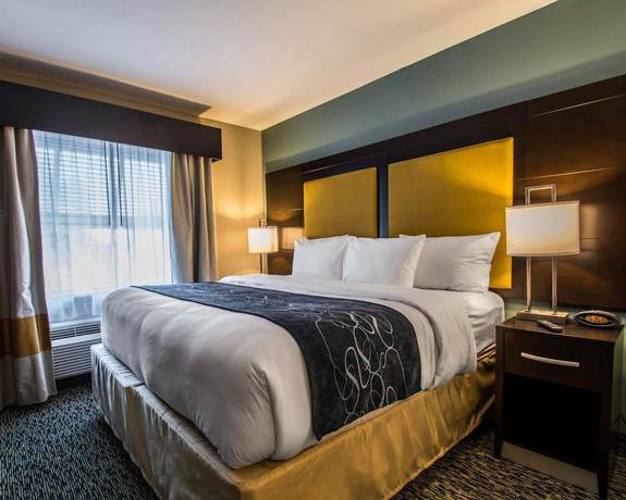 Imagen de la habitación del Hotel Comfort Suites Fort Lauderdale Airport South and Cruise Port. Foto 6