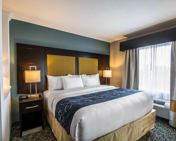 Imagen de la habitación del Hotel Comfort Suites Fort Lauderdale Airport South and Cruise Port. Foto 8