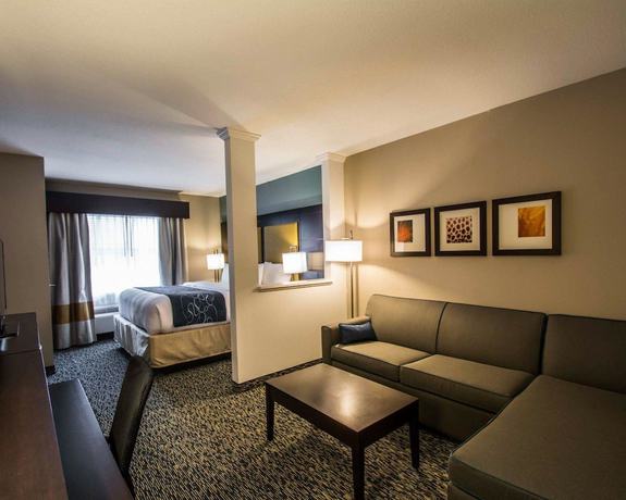 Imagen de la habitación del Hotel Comfort Suites Fort Lauderdale Airport South and Cruise Port. Foto 12