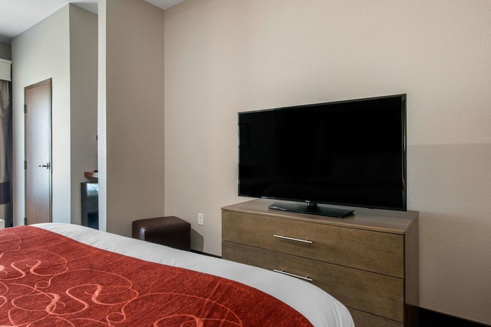Imagen de la habitación del Hotel Comfort Suites Fort Lauderdale Airport and Cruise Port. Foto 11