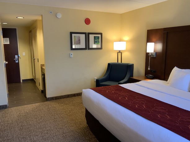 Imagen de la habitación del Hotel Comfort Suites Fredericksburg North. Foto 11