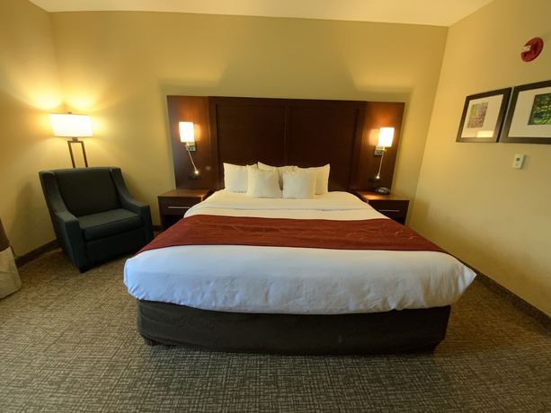 Imagen de la habitación del Hotel Comfort Suites Fredericksburg North. Foto 12