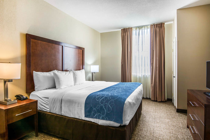 Imagen de los interiores del Hotel Comfort Suites Fredericksburg South. Foto 15