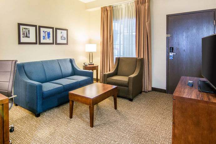 Imagen de la habitación del Hotel Comfort Suites Fredericksburg South. Foto 6