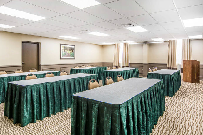 Imagen de la habitación del Hotel Comfort Suites Fredericksburg South. Foto 10