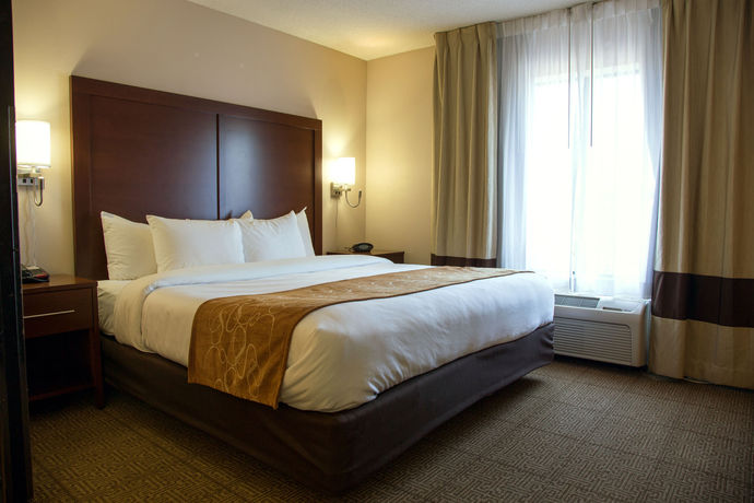 Imagen de los interiores del Hotel Comfort Suites Fultondale I-65 Near I-22. Foto 11