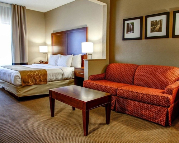Imagen de la habitación del Hotel Comfort Suites Gadsden Attalla. Foto 4
