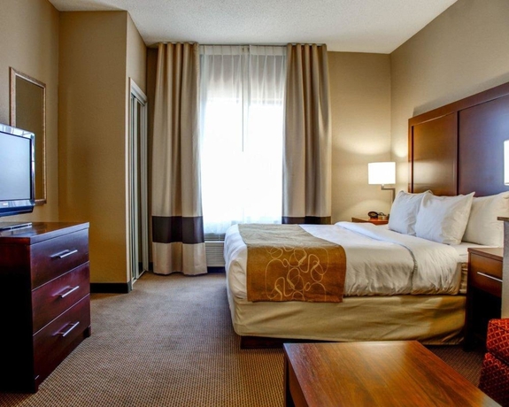 Imagen de la habitación del Hotel Comfort Suites Gadsden Attalla. Foto 5