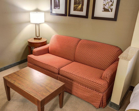 Imagen de la habitación del Hotel Comfort Suites Gadsden Attalla. Foto 7