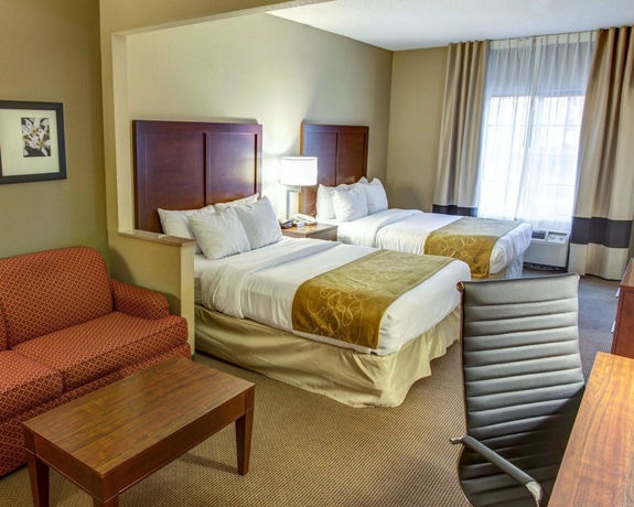 Imagen de la habitación del Hotel Comfort Suites Gadsden Attalla. Foto 8
