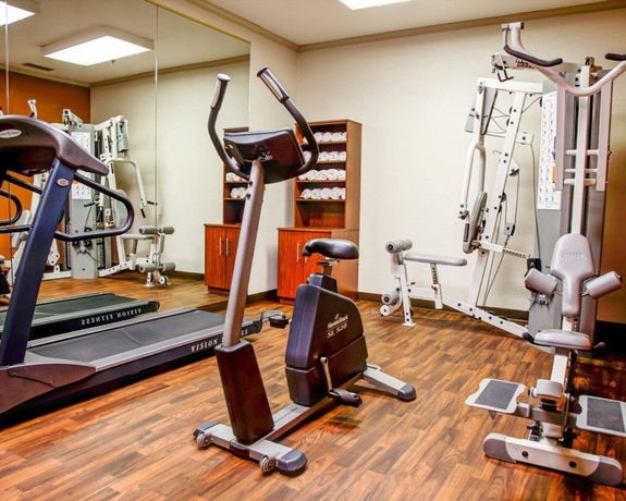 Imagen de los interiores del Hotel Comfort Suites Gadsden Attalla. Foto 18