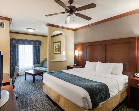 Imagen de la habitación del Hotel Comfort Suites Gainesville. Foto 14