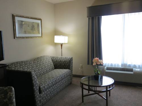 Imagen de la habitación del Hotel Comfort Suites, Georgetown. Foto 4