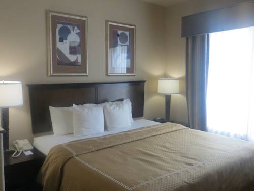 Imagen de la habitación del Hotel Comfort Suites, Georgetown. Foto 7