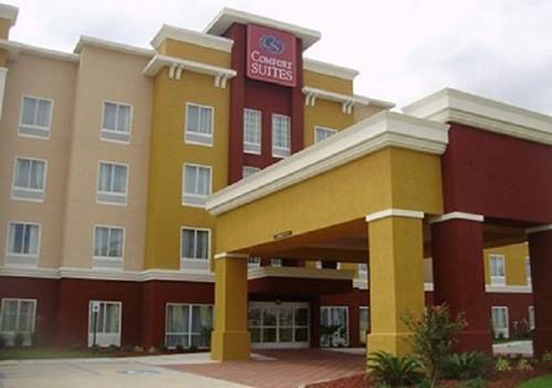 Imagen general del Hotel Comfort Suites Gonzales. Foto 1
