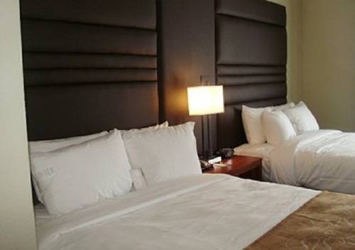 Imagen de la habitación del Hotel Comfort Suites Gonzales. Foto 3