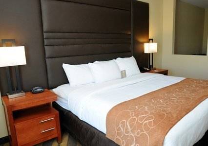Imagen de la habitación del Hotel Comfort Suites Gonzales. Foto 6