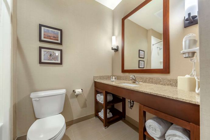 Imagen de la habitación del Hotel Comfort Suites, Grand Island. Foto 4