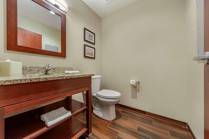 Imagen de la habitación del Hotel Comfort Suites, Grand Island. Foto 10