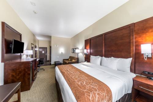 Imagen de la habitación del Hotel Comfort Suites Grand Prairie - Arlington North. Foto 1