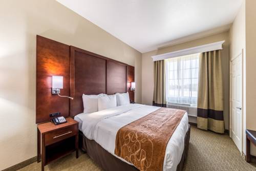 Imagen de la habitación del Hotel Comfort Suites Grand Prairie - Arlington North. Foto 2
