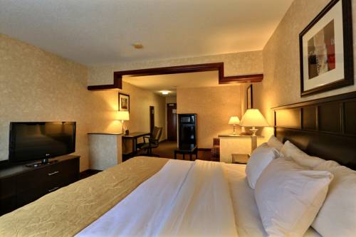Imagen de la habitación del Hotel Comfort Suites Grand Rapids North. Foto 5