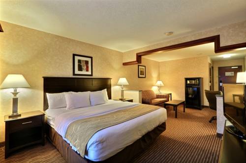 Imagen de la habitación del Hotel Comfort Suites Grand Rapids North. Foto 6