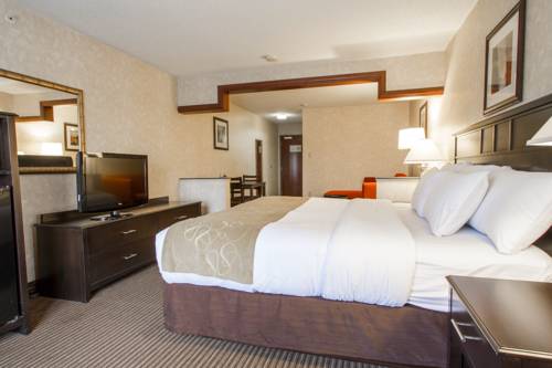 Imagen de la habitación del Hotel Comfort Suites Grand Rapids North. Foto 9