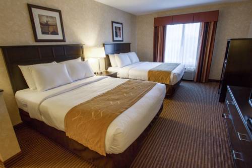 Imagen de la habitación del Hotel Comfort Suites Grand Rapids North. Foto 10