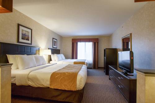 Imagen de la habitación del Hotel Comfort Suites Grand Rapids North. Foto 11