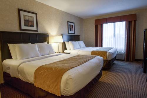Imagen de la habitación del Hotel Comfort Suites Grand Rapids North. Foto 12