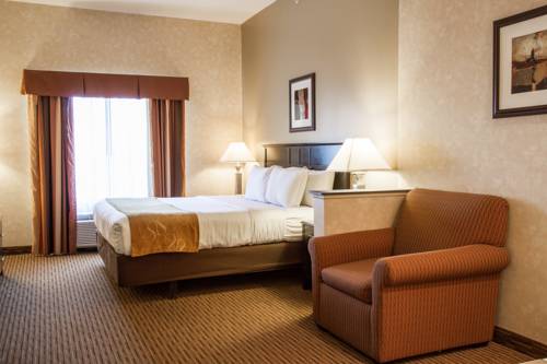 Imagen de la habitación del Hotel Comfort Suites Grand Rapids North. Foto 13