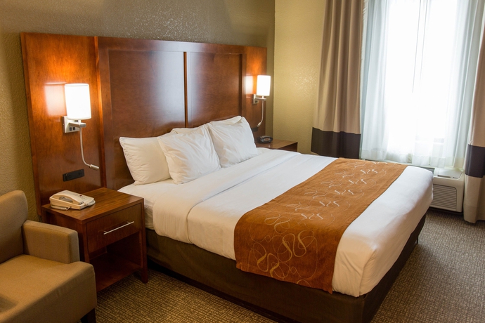 Imagen de la habitación del Hotel Comfort Suites Grand Rapids South. Foto 7