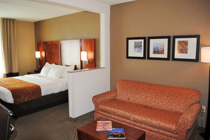 Imagen de la habitación del Hotel Comfort Suites Grand Rapids South. Foto 9