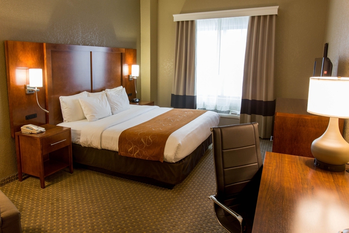 Imagen de la habitación del Hotel Comfort Suites Grand Rapids South. Foto 11