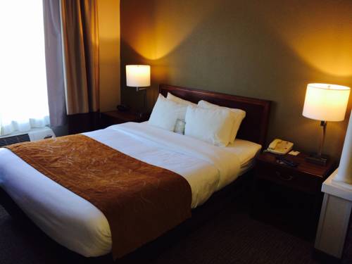 Imagen de la habitación del Hotel Comfort Suites Grandville - Grand Rapids Sw. Foto 4