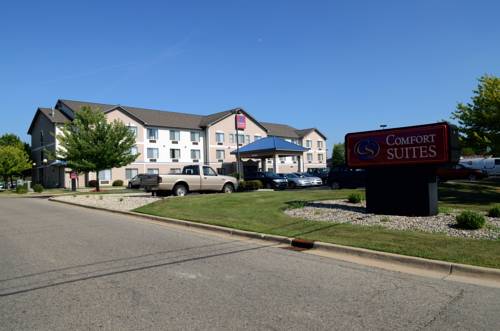 Imagen de la habitación del Hotel Comfort Suites Grandville - Grand Rapids Sw. Foto 5