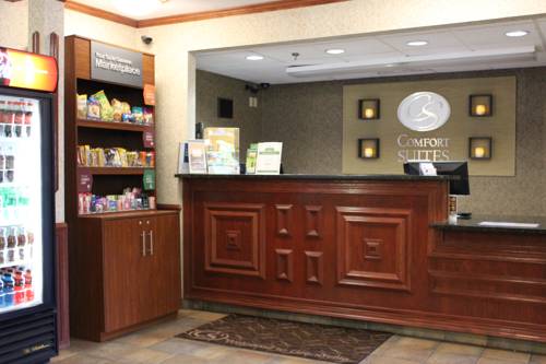 Imagen de la habitación del Hotel Comfort Suites Grandville - Grand Rapids Sw. Foto 6