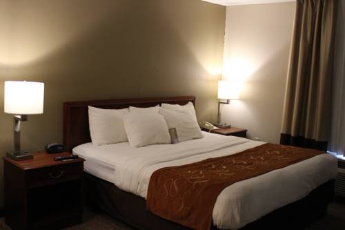 Imagen de la habitación del Hotel Comfort Suites Grandville - Grand Rapids Sw. Foto 8