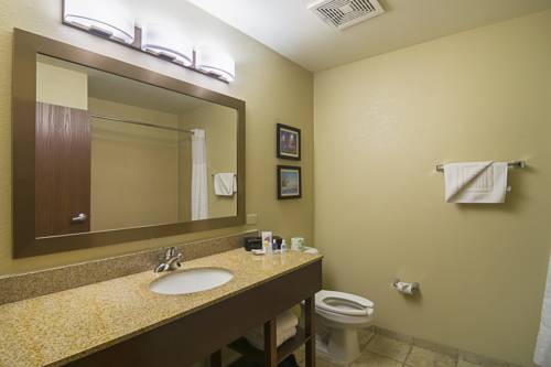 Imagen de la habitación del Hotel Comfort Suites Grayslake Near Libertyville North. Foto 4