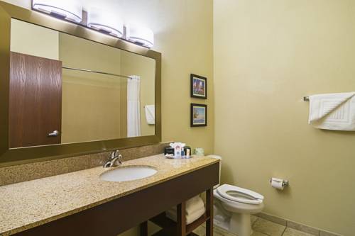 Imagen de la habitación del Hotel Comfort Suites Grayslake Near Libertyville North. Foto 7