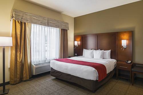 Imagen de la habitación del Hotel Comfort Suites Grayslake Near Libertyville North. Foto 8