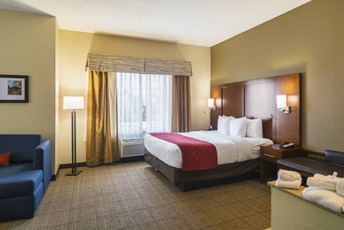 Imagen de la habitación del Hotel Comfort Suites Grayslake Near Libertyville North. Foto 9