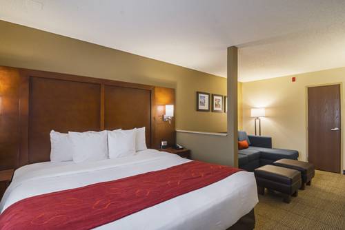 Imagen de la habitación del Hotel Comfort Suites Grayslake Near Libertyville North. Foto 14
