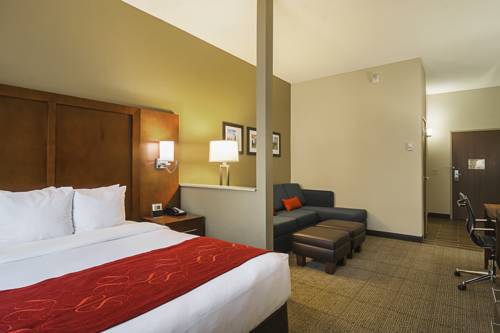 Imagen de la habitación del Hotel Comfort Suites Grayslake Near Libertyville North. Foto 15