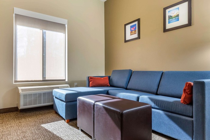 Imagen de la habitación del Hotel Comfort Suites Greensboro - High Point. Foto 10