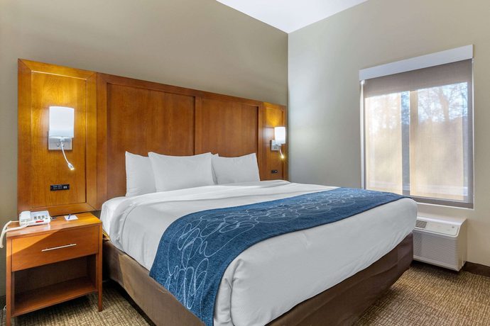 Imagen de la habitación del Hotel Comfort Suites Greensboro - High Point. Foto 12