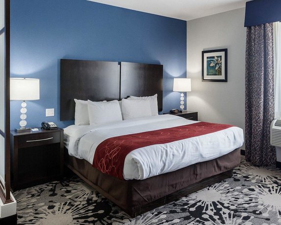 Imagen general del Hotel Comfort Suites Greenville. Foto 1